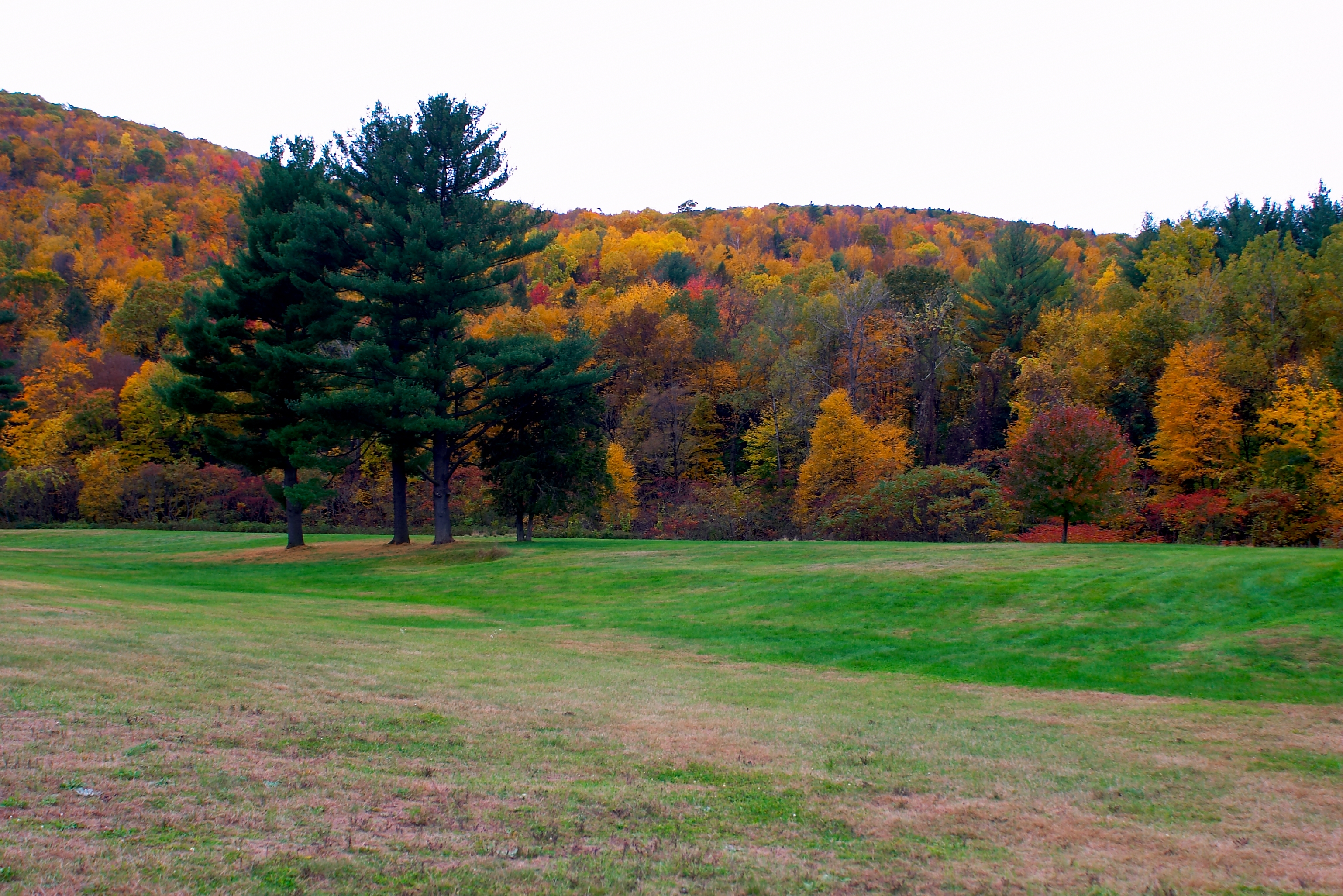 Fall 2004