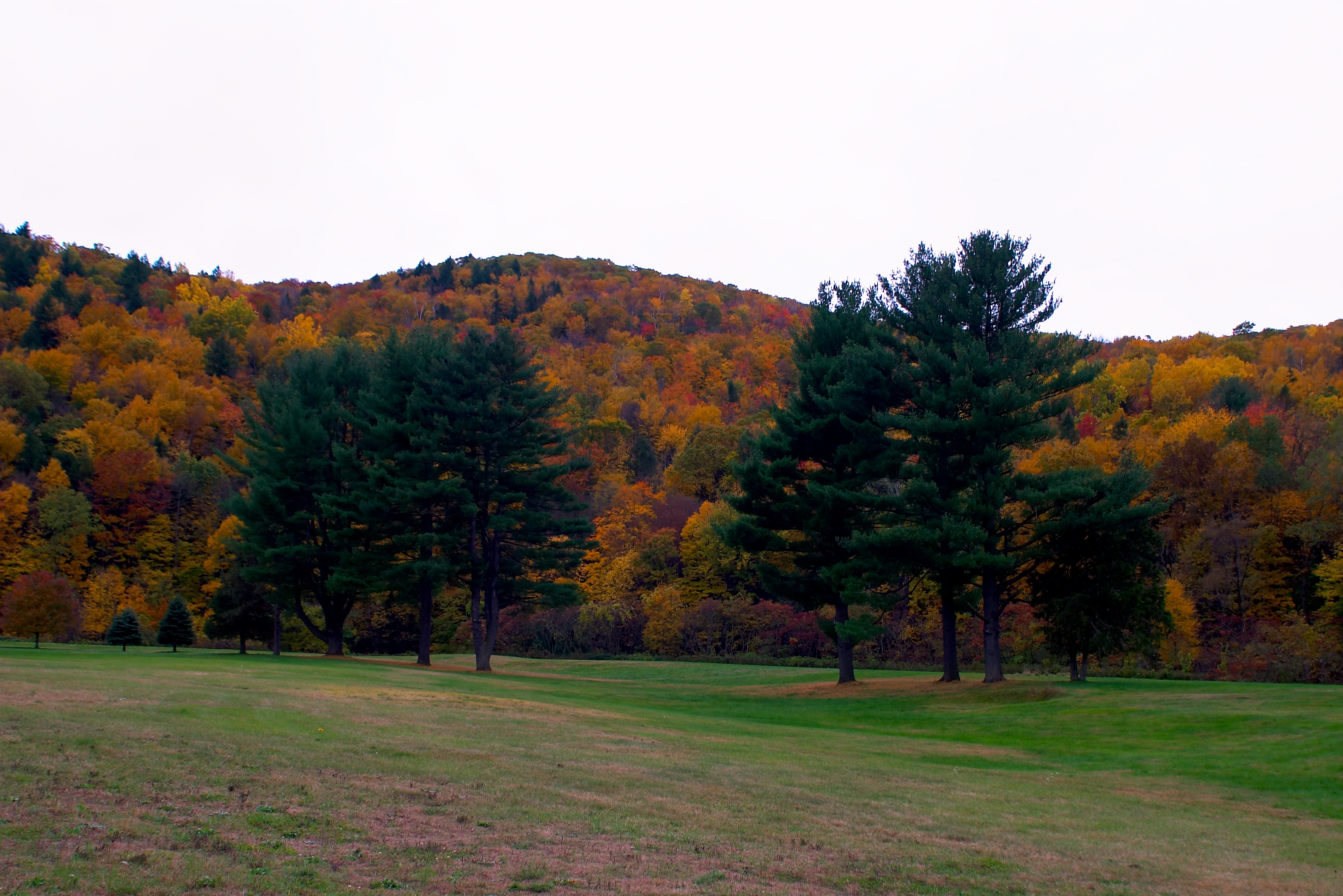 Fall 2004 02CF