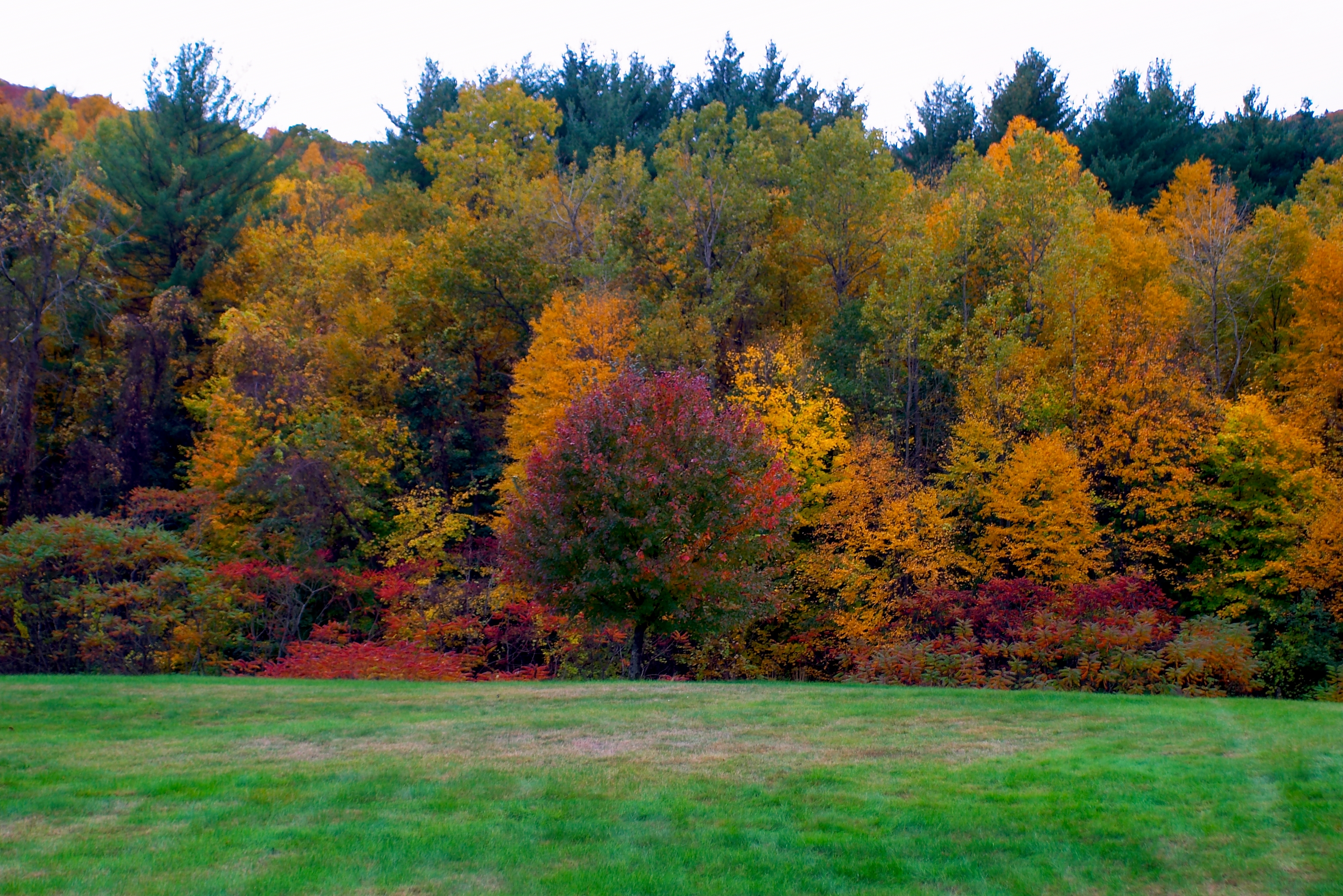 Fall 2004 07CF