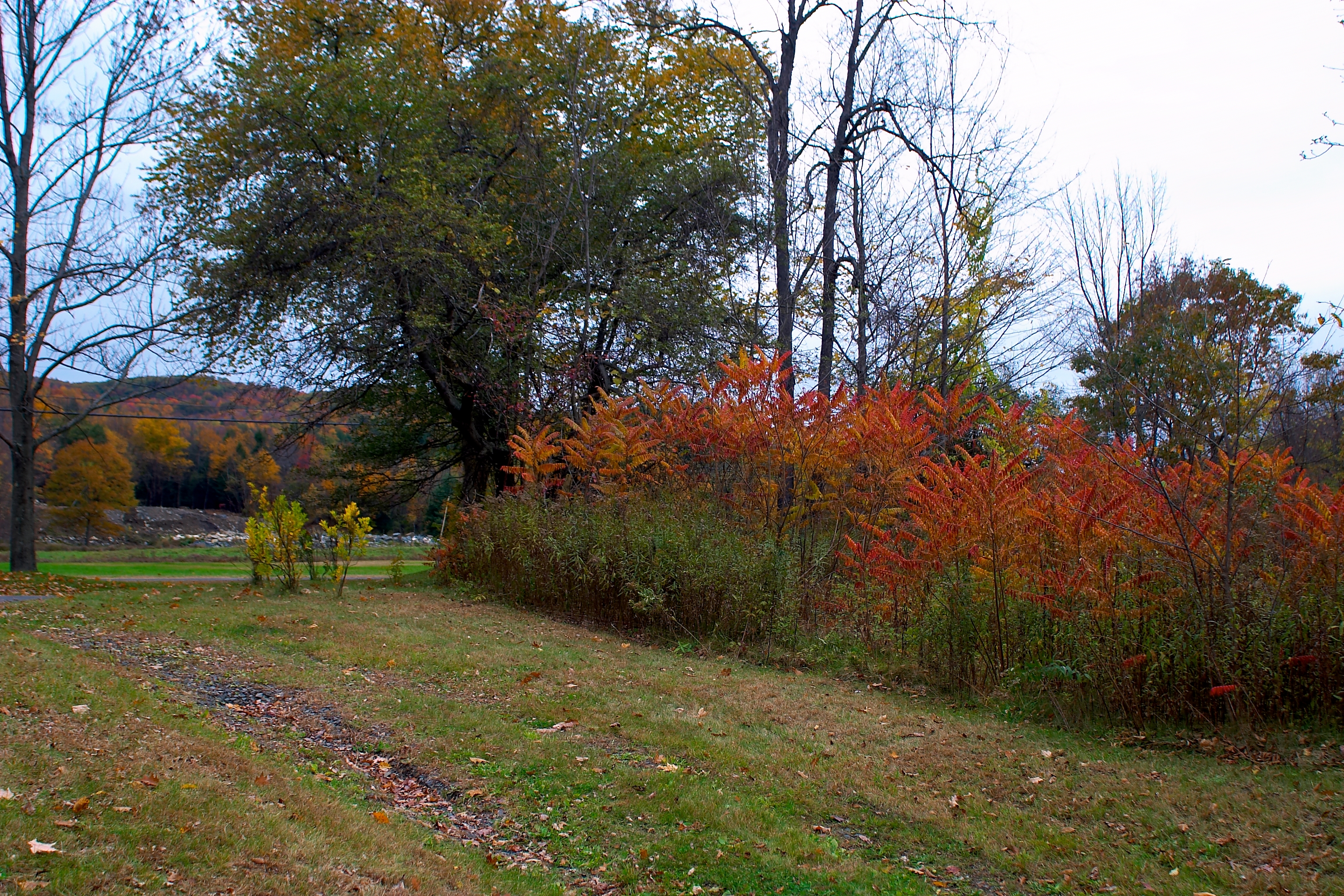 Fall 2004 34CF