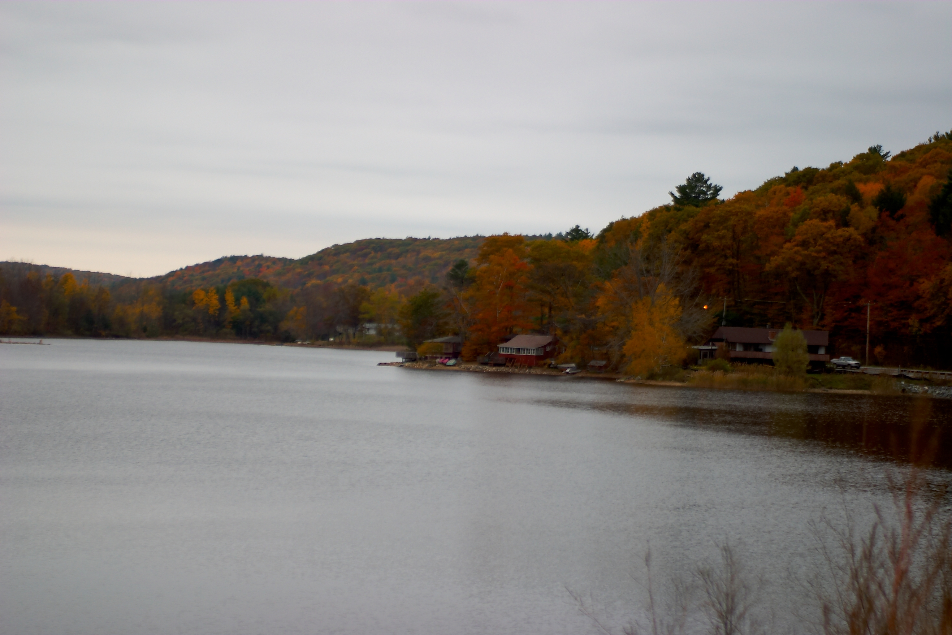 Fall 2004 77CF