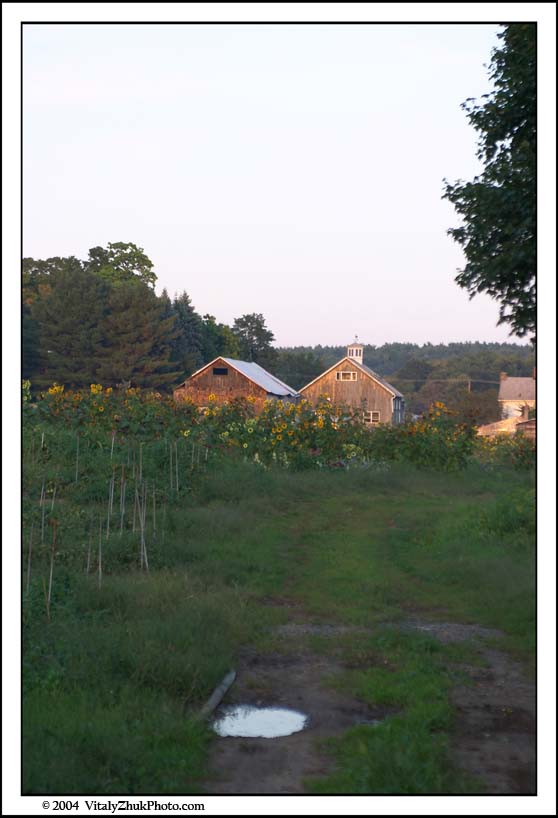 FlowersSouthwick2004 085CWX