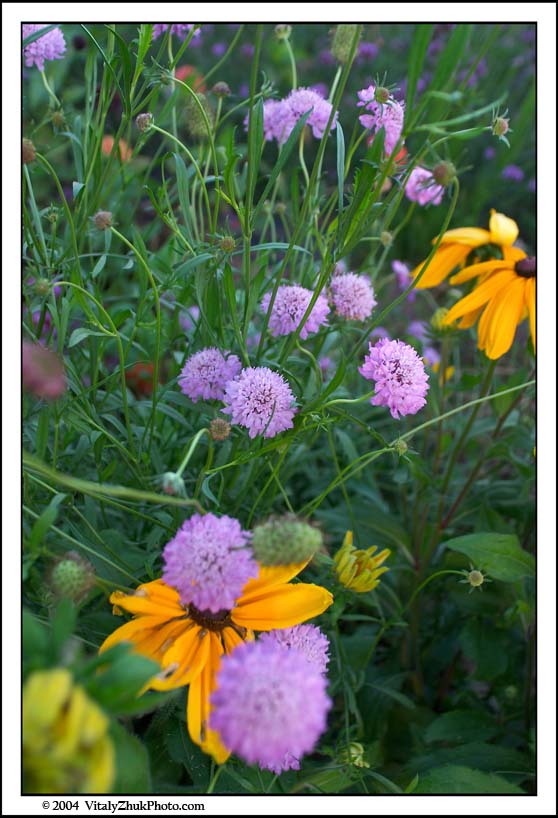 FlowersSouthwick2004 108CWX