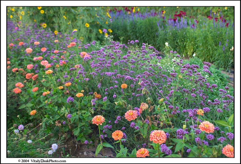 FlowersSouthwick2004 113CWX
