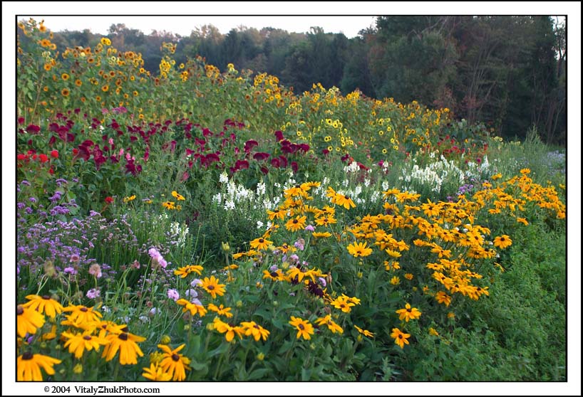 FlowersSouthwick2004 114CWX