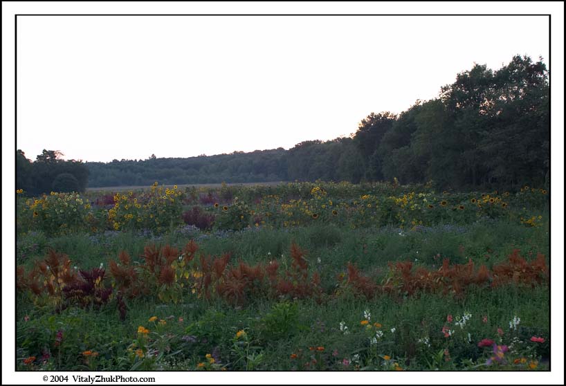 FlowersSouthwick2004 138CWX