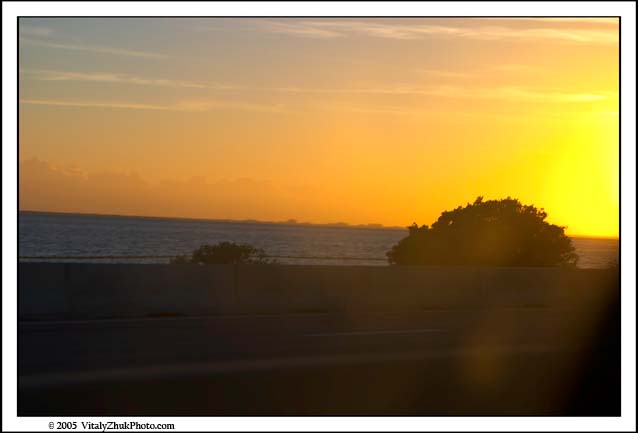 FloridaNov2005 017CWX