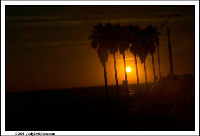 FloridaNov2005 022CWX