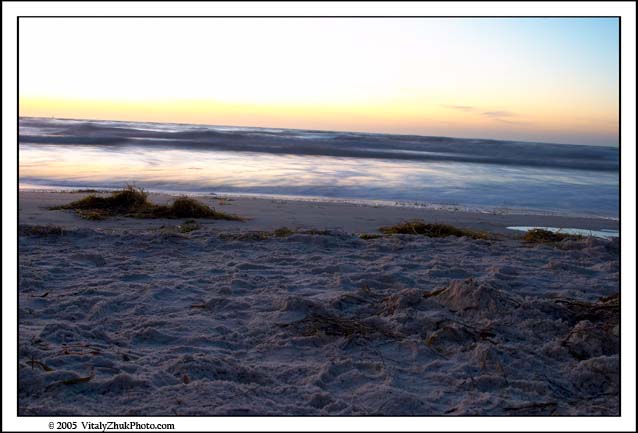 FloridaNov2005 033CWX